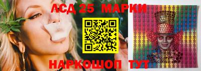 мдпв Бийск