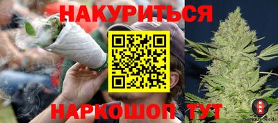 мдпв Бийск