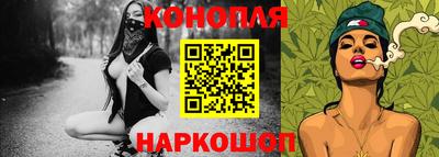 мдпв Бийск