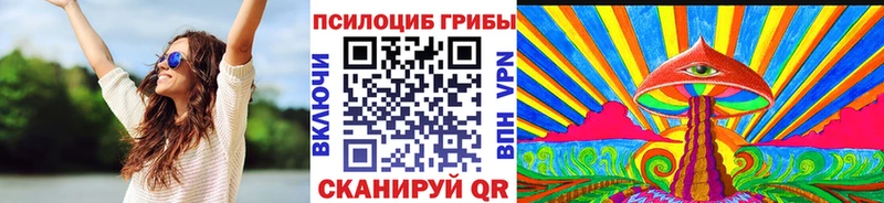 где купить   Гудермес  Псилоцибиновые грибы Psilocybe 