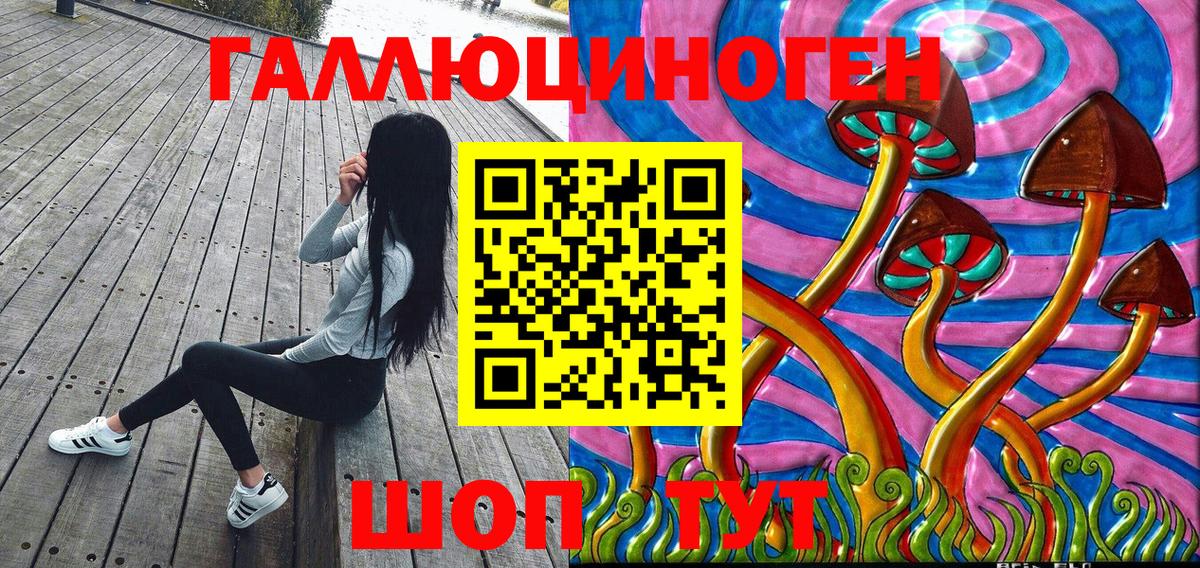 Псилоцибиновые грибы Cubensis Гудермес