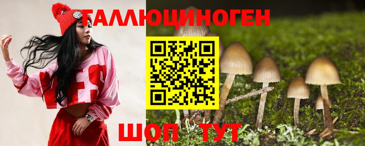 Галлюциногенные грибы MAGIC MUSHROOMS  Псилоцибиновые грибы ЛСД  цена наркотик  Гудермес 